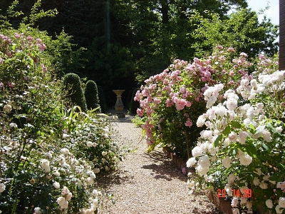 Soft Landscaping Design, Surrey, Large Garden Design, Surrey